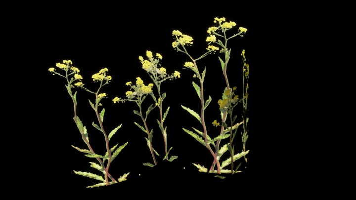 UE项目资源_模型资源_草444