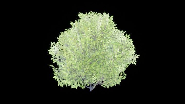 UE项目资源_模型资源_草464