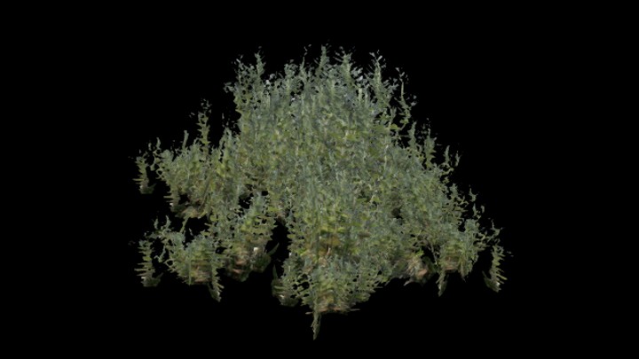 UE项目资源_模型资源_草479