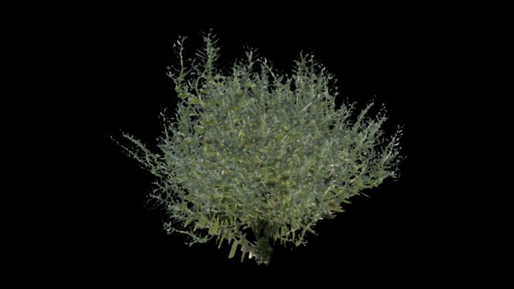 UE项目资源_模型资源_草480