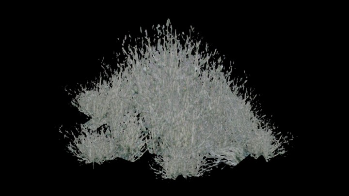 UE项目资源_模型资源_草490