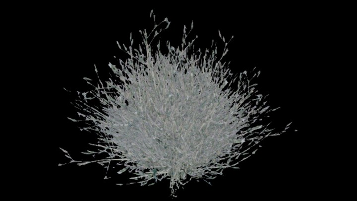 UE项目资源_模型资源_草491