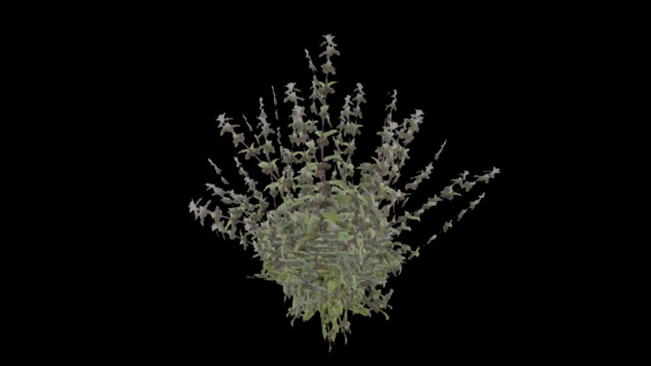 UE项目资源_模型资源_草500