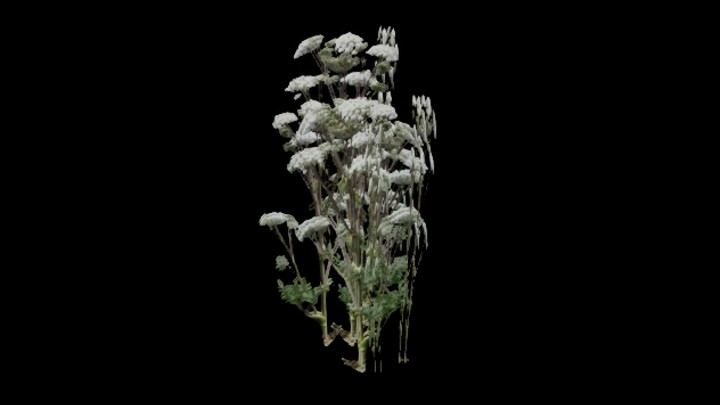 UE项目资源_模型资源_草501