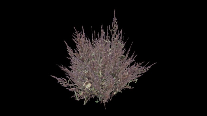 UE项目资源_模型资源_草504