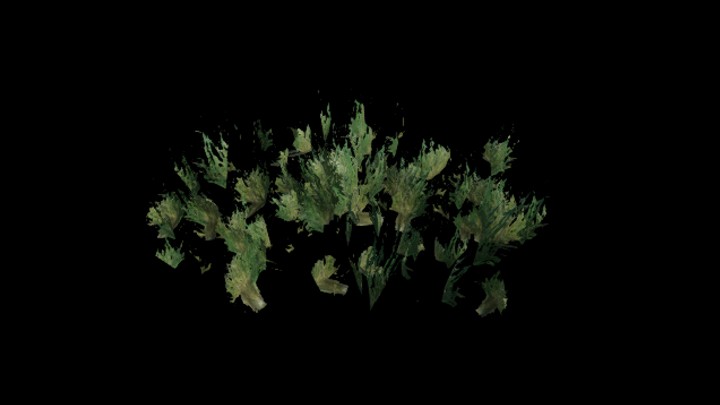 UE项目资源_模型资源_草512