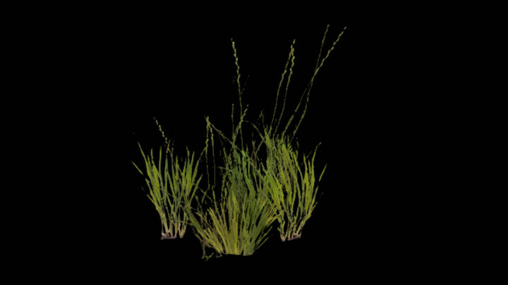 UE项目资源_模型资源_草518