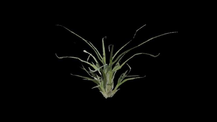 UE项目资源_模型资源_草532