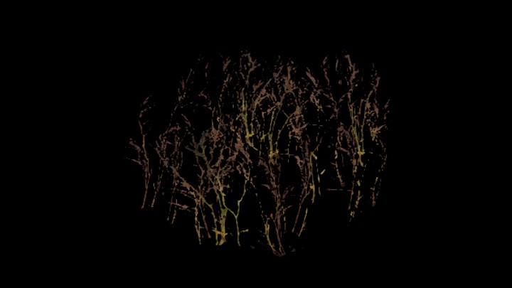 UE项目资源_模型资源_草553