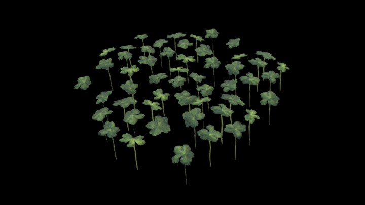 UE项目资源_模型资源_草571