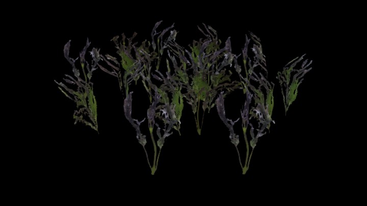 UE项目资源_模型资源_草582