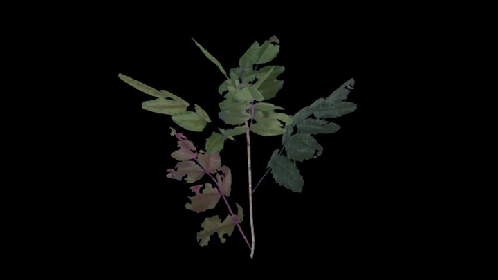 UE项目资源_模型资源_草588