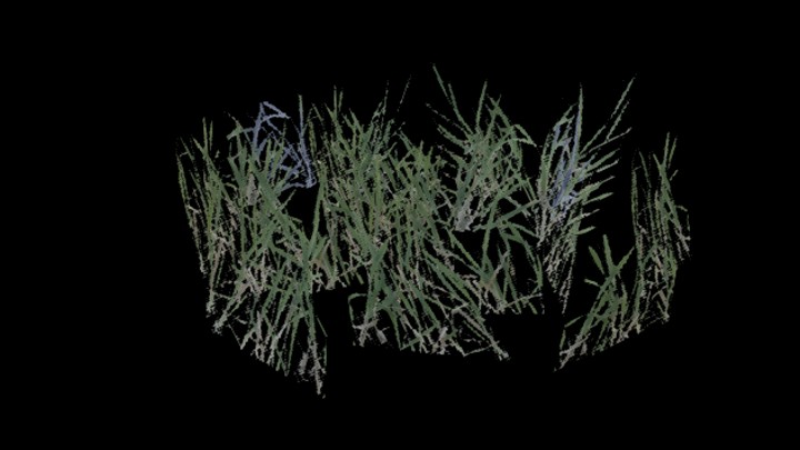 UE项目资源_模型资源_草593