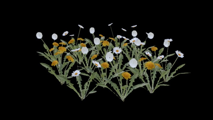 UE项目资源_模型资源_草594