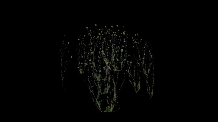 UE项目资源_模型资源_草595