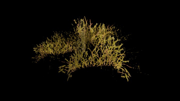 UE项目资源_模型资源_草603