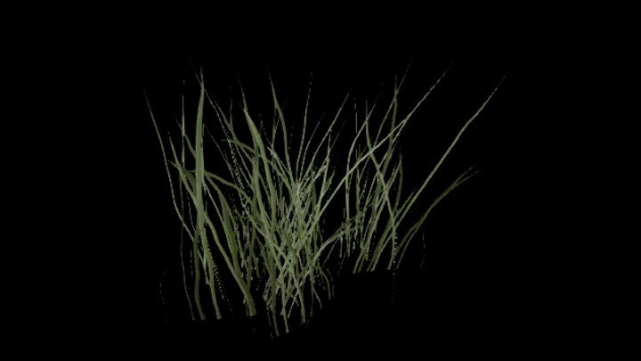 UE项目资源_模型资源_草627