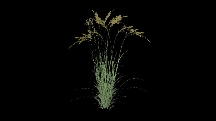 UE项目资源_模型资源_草632