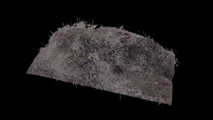 UE项目资源_模型资源_草堆002