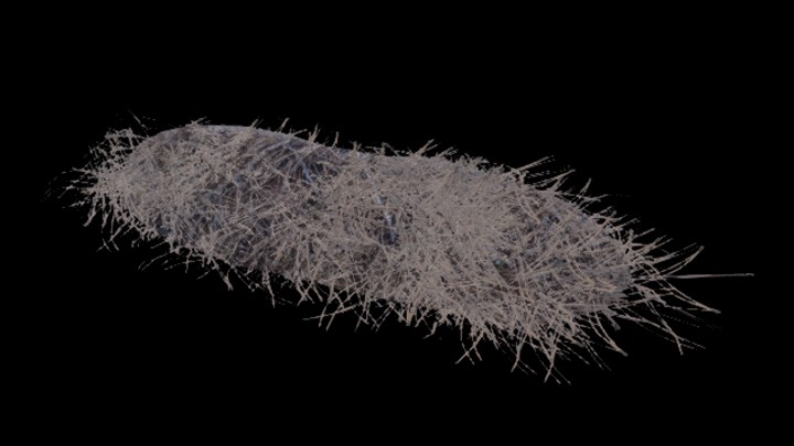 UE项目资源_模型资源_草堆003