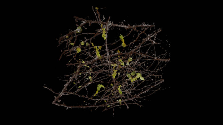 UE项目资源_模型资源_藤蔓022