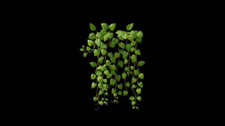 UE项目资源_模型资源_藤蔓023