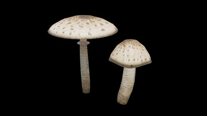 UE项目资源_模型资源_蘑菇181