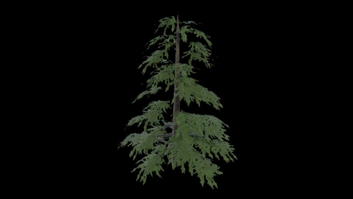 UE项目资源_模型资源_雪松001