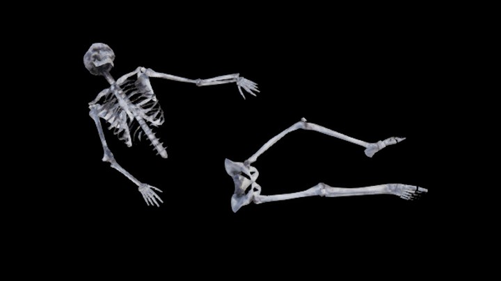 UE项目资源_模型资源_骨架006