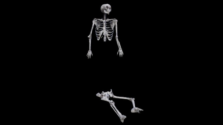 UE项目资源_模型资源_骨架008