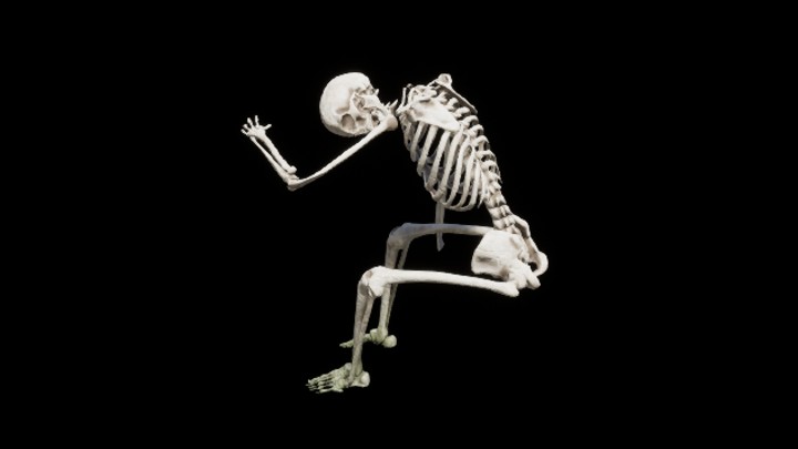 UE项目资源_模型资源_骷髅003