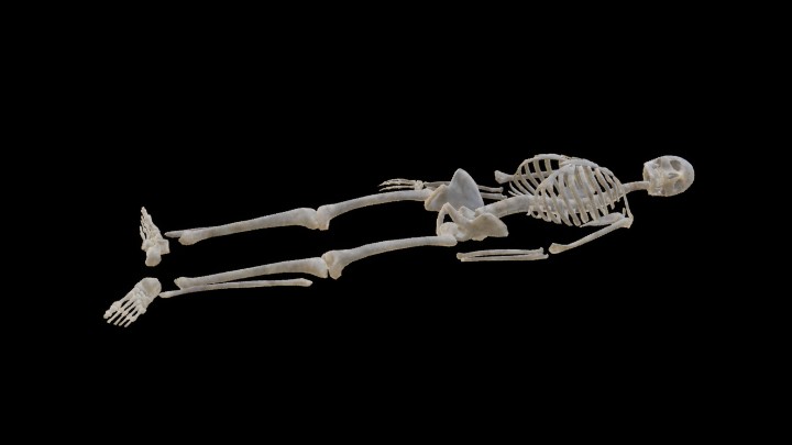 UE项目资源_模型资源_骷髅008