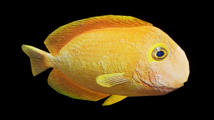 UE项目资源_模型资源_鱼004