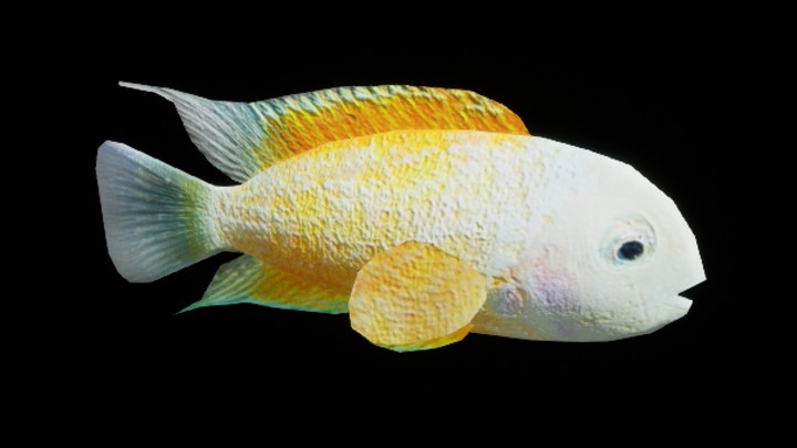 UE项目资源_模型资源_鱼011