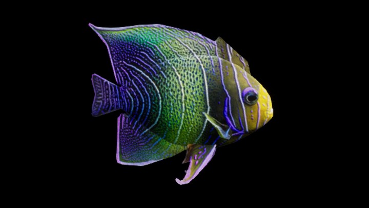 UE项目资源_模型资源_鱼014