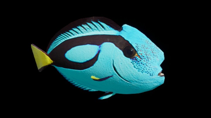 UE项目资源_模型资源_鱼027