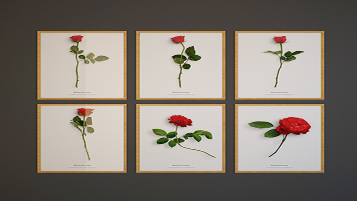 渲染模型_挂画061