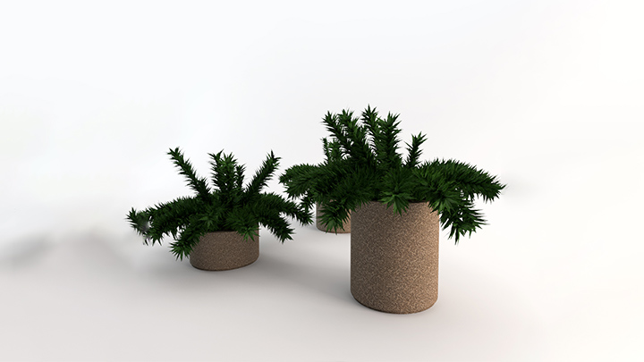 渲染模型_植物012