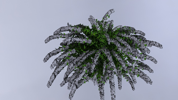 渲染模型_植物015