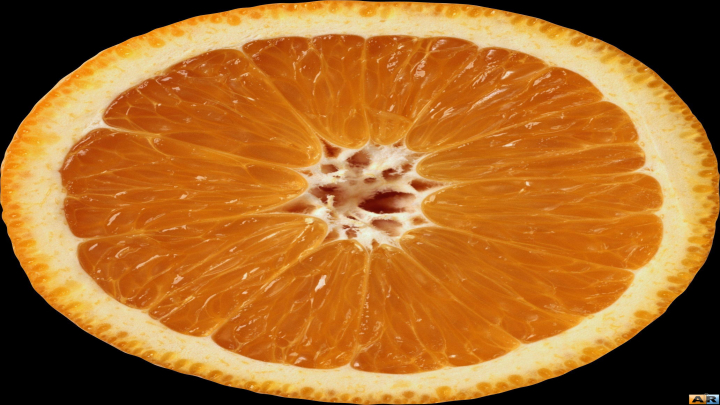 渲染模型_水果002