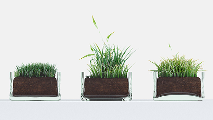 渲染模型_盆景002