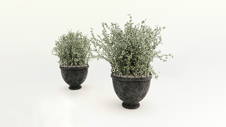 渲染模型_盆栽002