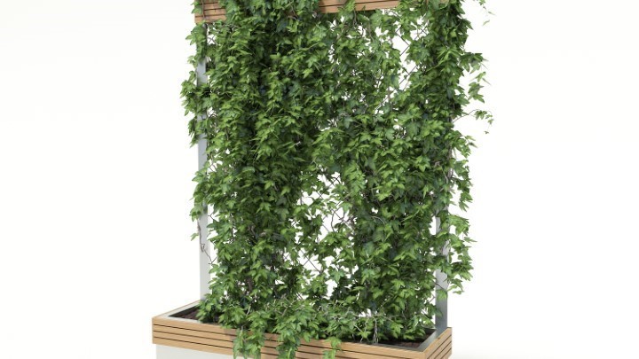 渲染模型_盆栽023