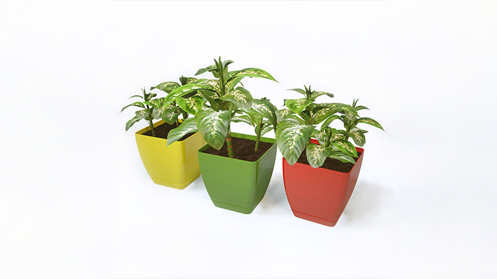 渲染模型_盆栽030