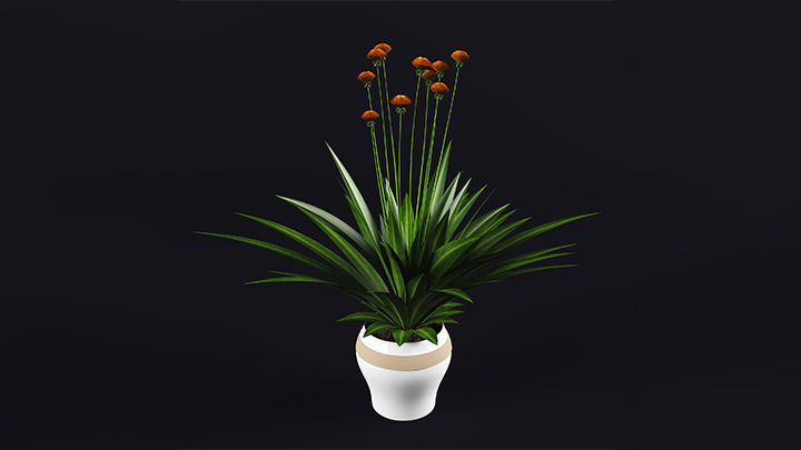 渲染模型_盆栽037