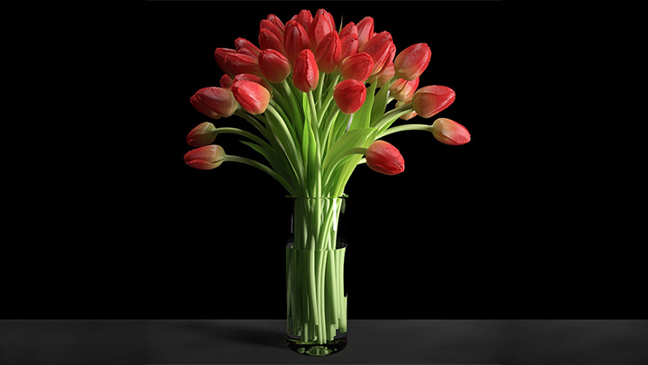 渲染模型_盆栽043