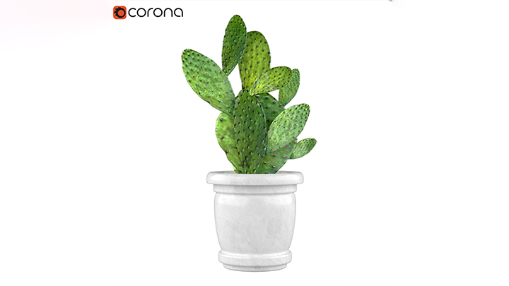 渲染模型_盆栽047