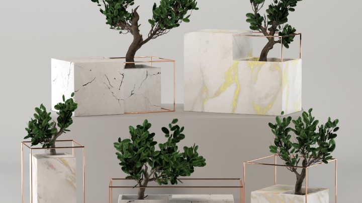 渲染模型_盆栽051