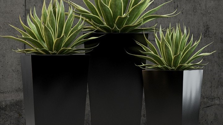 渲染模型_盆栽090