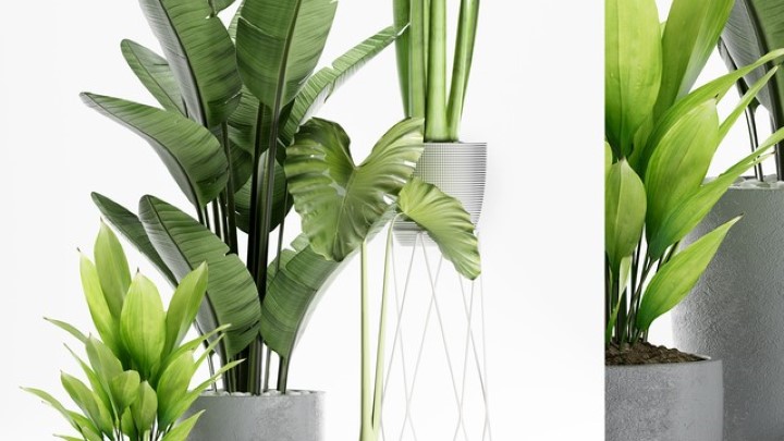 渲染模型_盆栽108